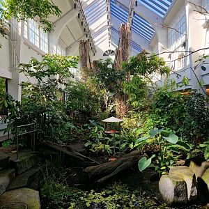 Bird house, tropical hall