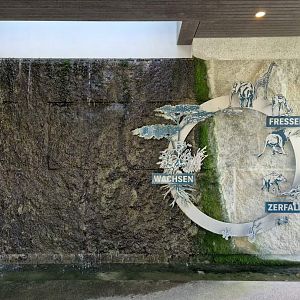 Circle of life, Etosha house