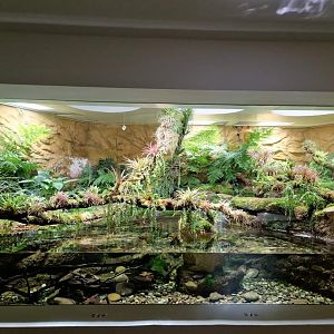 Hellbender exhibit