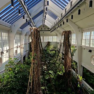 Bird house, view from the 3rd level