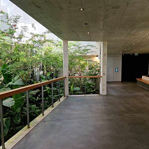 Bird house first hall