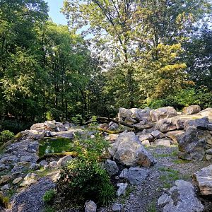 Mishmi Takin Exhibit, upper part