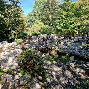 Mishmi Takin Exhibit, middle part