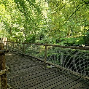Brown Bear/ Dhole exhibit