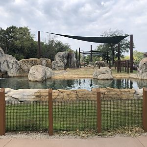 Elephant Exhibit