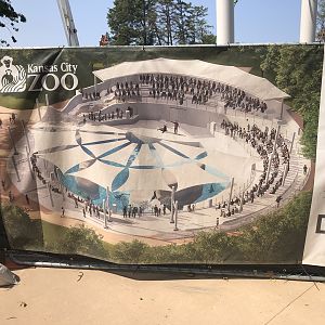 New Sea Lion Exhibit