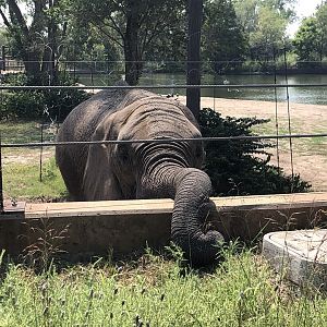 Grass is Greener on the Otherside