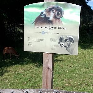 Signage style in African village 3/9/23