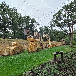 Gora Ark - the aviary for african vultures