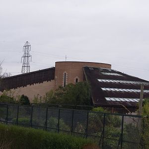 Spirit of the Jaguar- 5/4/2023