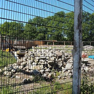 New mountain animal area - Rocky Mountain goat exhibit under construction (Since finished), 2023-05-31