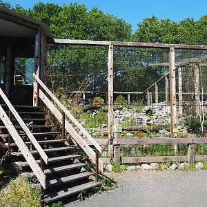 New mountain animal area - Rocky Mountain goat/Snow leopard viewing hut and Smaller snow leopard exhibit, 2023-05-31