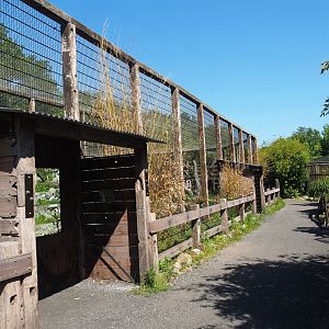 New mountain animal area - Walkway and snow leopard viewing areas, 2023-05-31