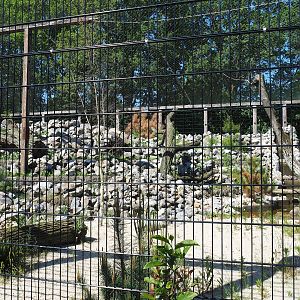 New mountain animal area - Recently finished larger snow leopard exhibit, 2023-05-31