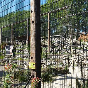 New mountain animal area - Recently finished larger snow leopard exhibit, 2023-05-31