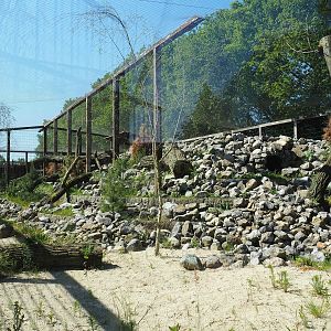 New mountain animal area - Recently finished larger snow leopard exhibit, 2023-05-31