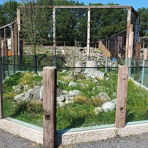 European souslik exhibit, 2023-05-31