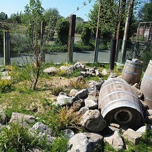 European souslik exhibit, 2023-05-31