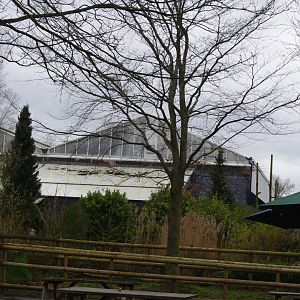 Tropical Realm- 5/4/2023