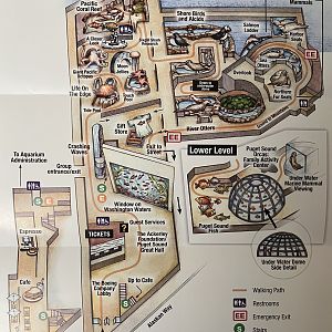 Aquarium Map - 2012