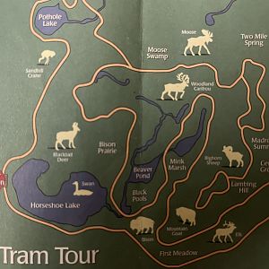 Zoo Map - 2005 (Tram Tour)
