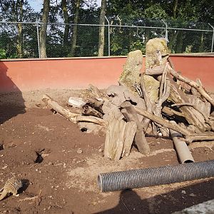 Meerkat Enclosure