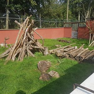 Cape Porcupine Enclosure