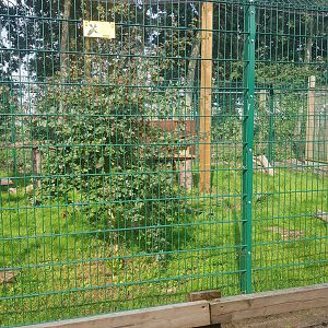 African Civet Enclosure