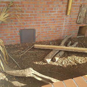 Large Hairy Armadillo Enclosure