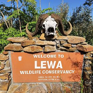 Lewa Entrance
