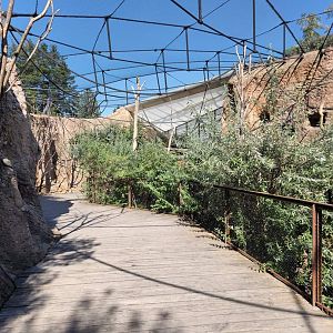 Grey parot Walktrough Aviary