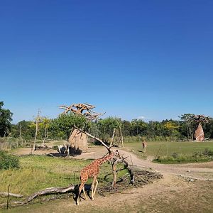 Lewa Savanna, view from the first platform