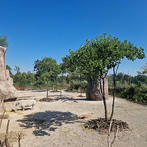 White Rhino separate exhibit