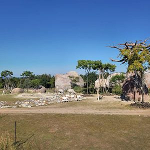 Lewa Savanna, view from the middle platform