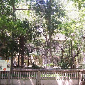 White Faced Saki and Grey Titi Monkey exhibit