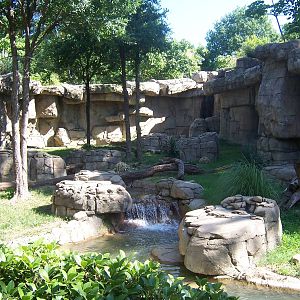 Mandrill habitat