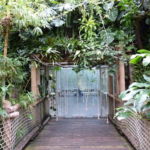 Tropical Rainforest Building