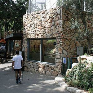 tiger exhibit