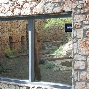 window of the tigers