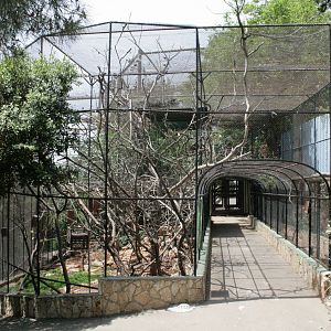 israeli bird aviary