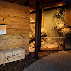 Odense Zoo - Mongoose indoor exhibit