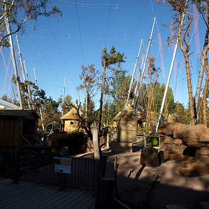Odense Zoo - Kiwara African Aviary