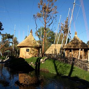 Odense Zoo - Kiwara African Aviary