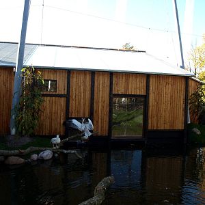 Odense Zoo - Pelican House