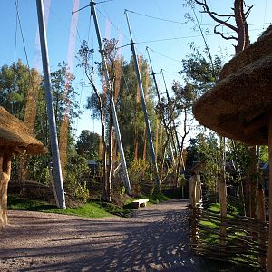 Odense Zoo - Kiwara African Aviary