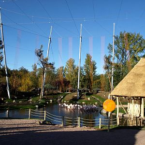 Odense Zoo - Kiwara African Aviary