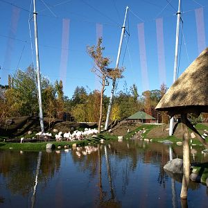 Odense Zoo - Kiwara African Aviary