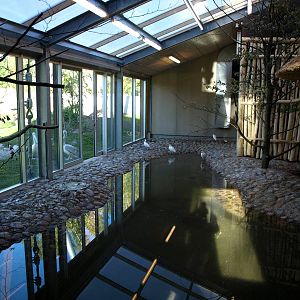 Odense Zoo - Flamingo House