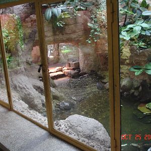 Turtle enclosure