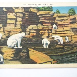 Detroit Zoo, Michigan